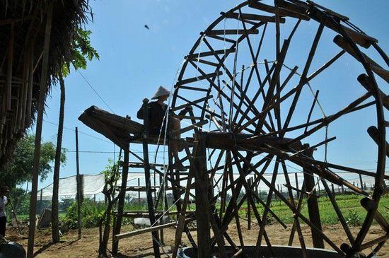 Tra Que Water Wheel
